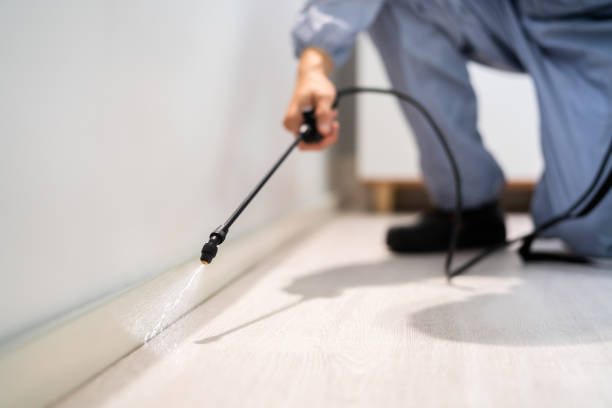 Licensed Termite Control service in Obetz, OH - Nex Pest Control