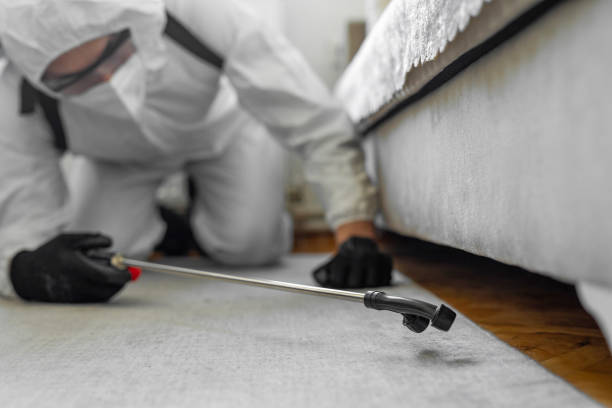 Professional Termite Control technician working in Obetz, OH