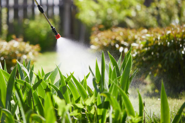 24/7 Emergency Termite Control experts in Obetz, OH