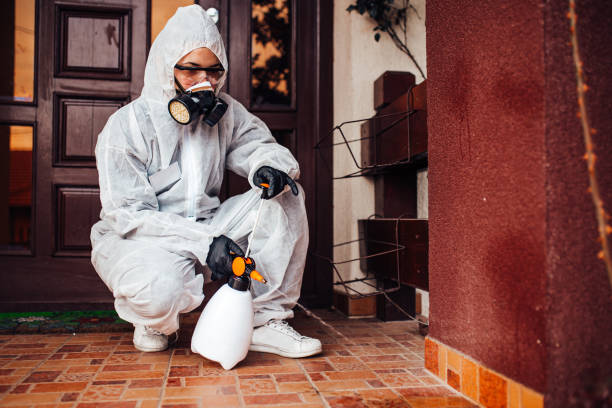 Reliable Termite Control contractor in Obetz, OH by Nex Pest Control