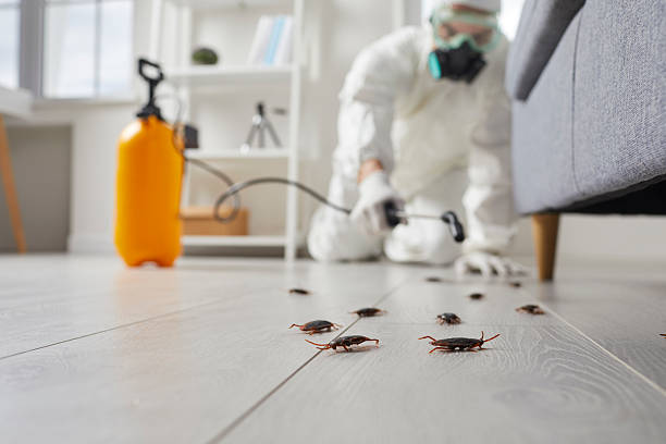 Affordable Termite Control solutions in Obetz, OH