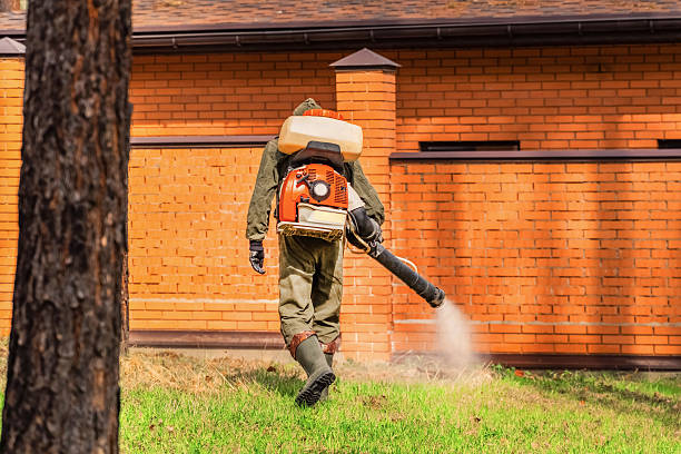 Top rated local Termite Control specialists in Obetz, OH